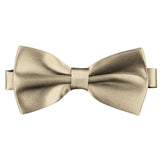 Pale Gold [Silky Smooth] - Bow Tie and Pocket Square Matching Set - ShopFlairs